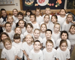 Gólyák a Bartókban