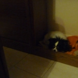 P1200994-w800-h600.jpg