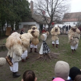 P1220031-w800-h600.jpg