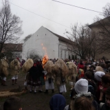 P1220035-w800-h600.jpg