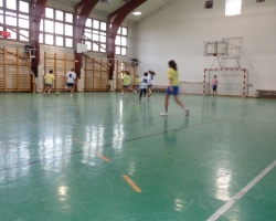 DSC03987-w800-h600.jpg