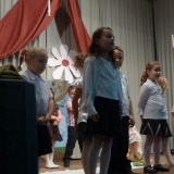 P1200073-w800-h600.jpg