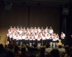 P1180315-w800-h600.jpg