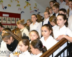 szepenekles bartok7-007